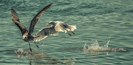 105mm f/6.3 ISO 100