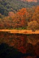 60mm f/5.3 ISO 720